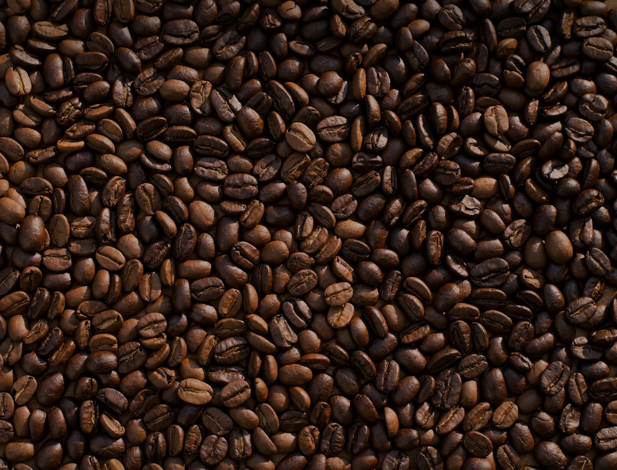 Direct-Trade Coffee Roastery Expansion