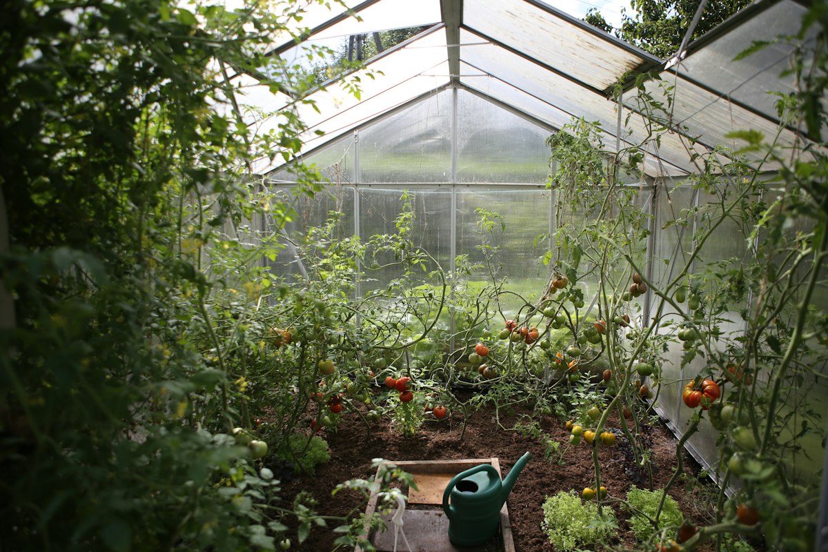 Community Greenhouse for a 9-Month Winter